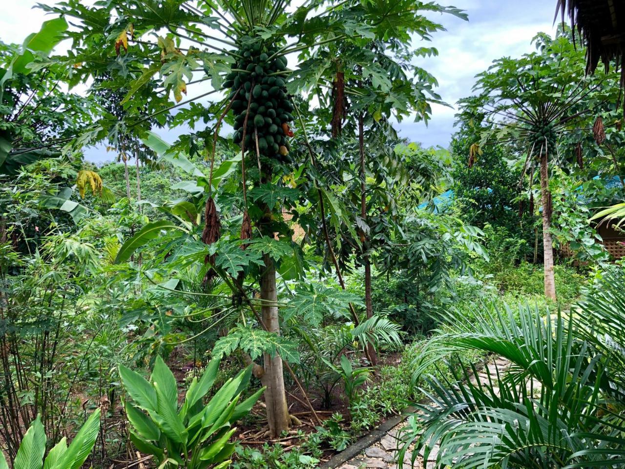 House @Bohol Garden Homes Panglao Extérieur photo